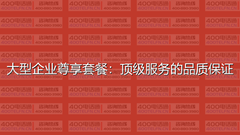 大型企业尊享套餐：顶级服务的品质保证-400电话选购平台