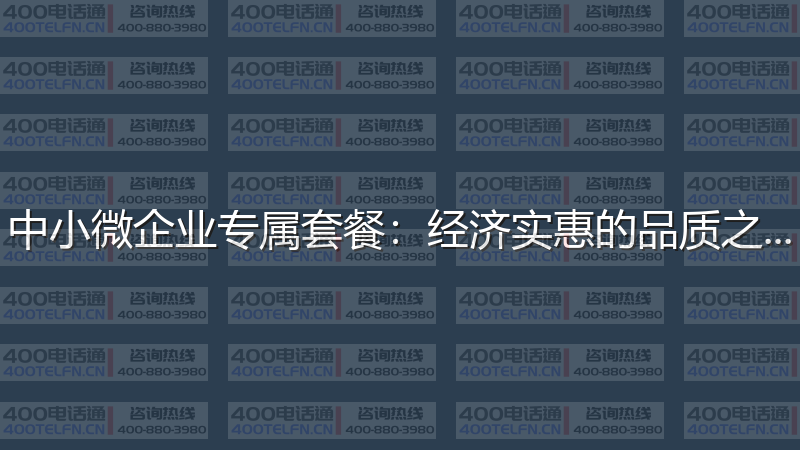 中小微企业专属套餐：经济实惠的品质之选-400电话选购平台