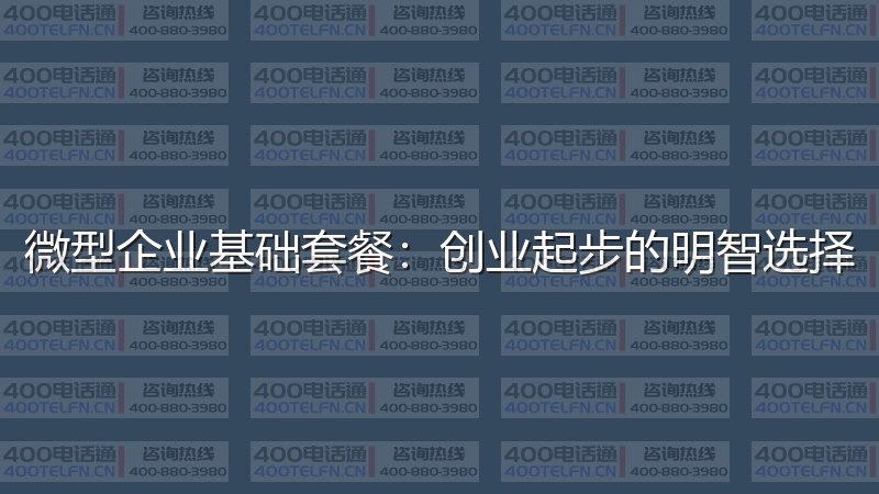 微型企业基础套餐：创业起步的明智选择-400电话选购平台