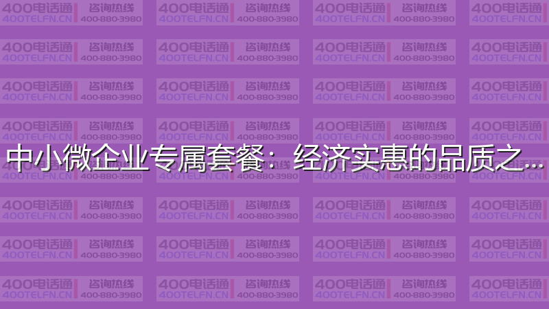 中小微企业专属套餐：经济实惠的品质之选-400电话选购平台