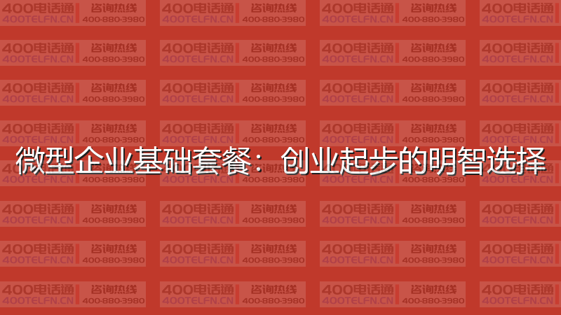 微型企业基础套餐：创业起步的明智选择-400电话选购平台