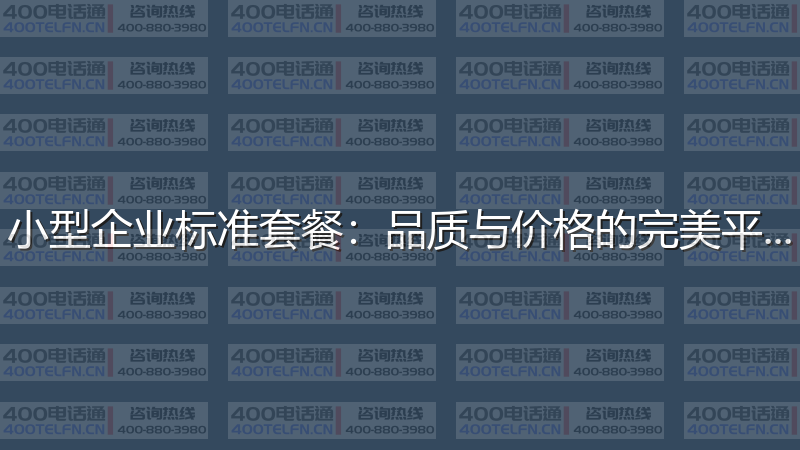 小型企业标准套餐：品质与价格的完美平衡-400电话选购平台