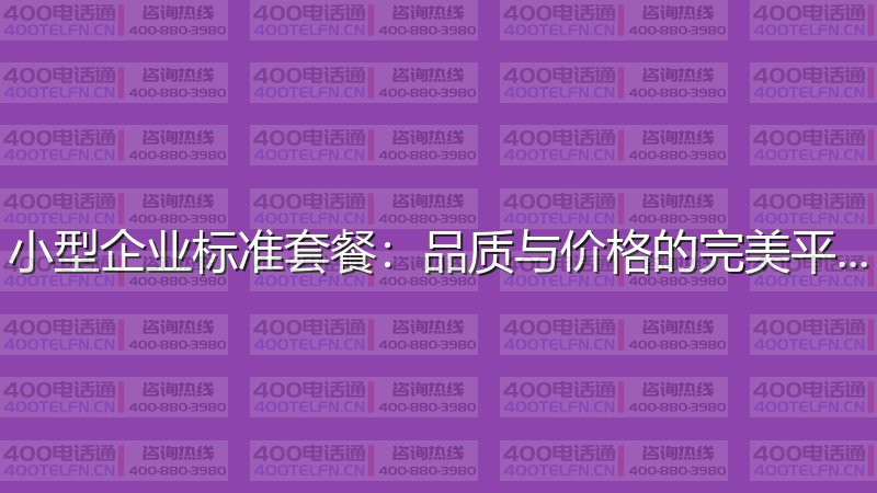 小型企业标准套餐：品质与价格的完美平衡-400电话选购平台