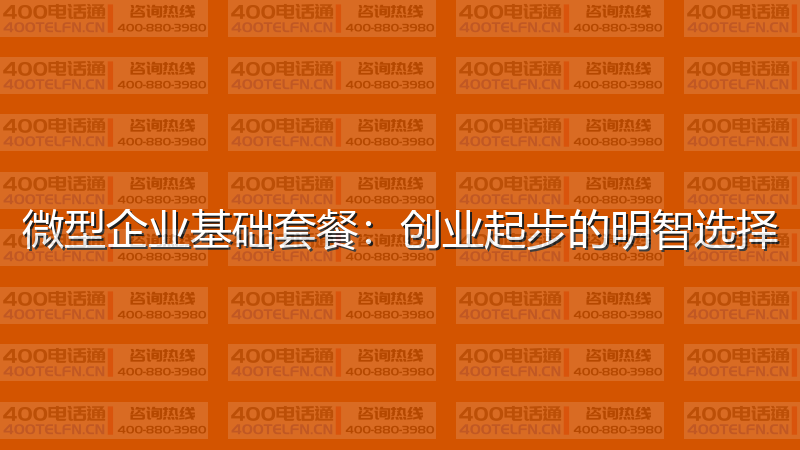 微型企业基础套餐：创业起步的明智选择-400电话选购平台