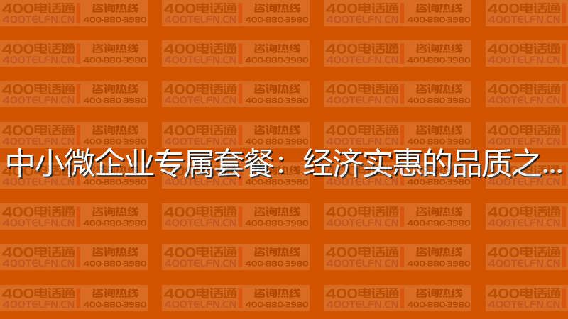 中小微企业专属套餐：经济实惠的品质之选-400电话选购平台
