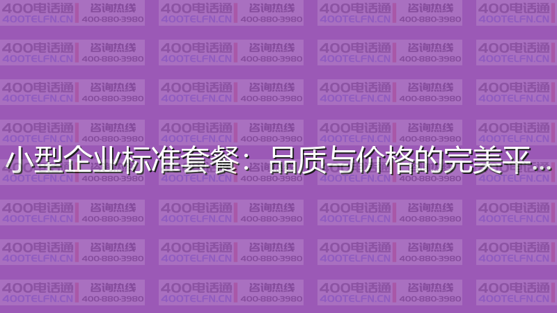 小型企业标准套餐：品质与价格的完美平衡-400电话选购平台