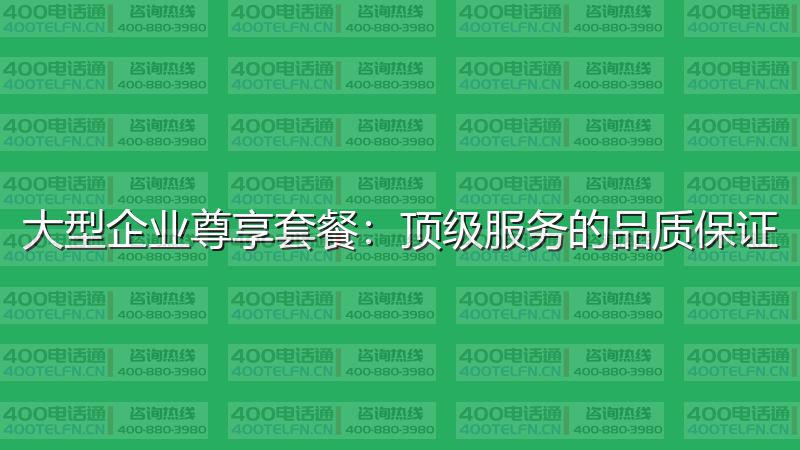 大型企业尊享套餐：顶级服务的品质保证-400电话选购平台