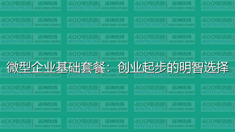 微型企业基础套餐：创业起步的明智选择-400电话选购平台
