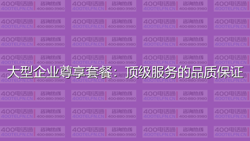 大型企业尊享套餐：顶级服务的品质保证-400电话选购平台