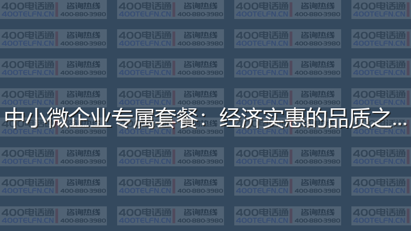 中小微企业专属套餐：经济实惠的品质之选-400电话选购平台
