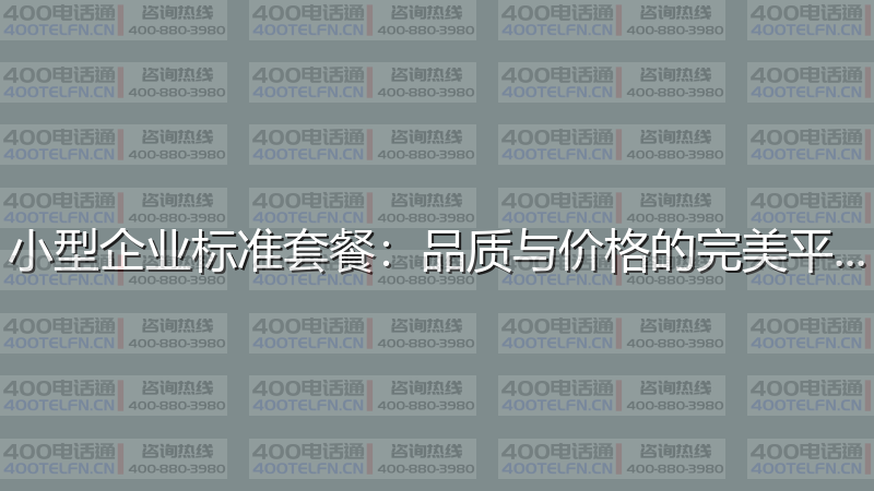 小型企业标准套餐：品质与价格的完美平衡-400电话选购平台