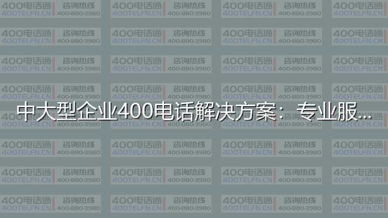 中大型企业400电话解决方案：专业服务的最佳配置-400电话选购平台