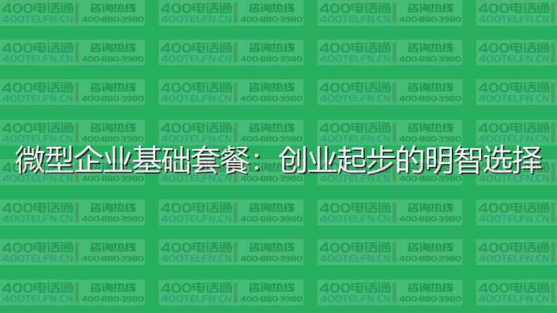 微型企业基础套餐：创业起步的明智选择-400电话选购平台