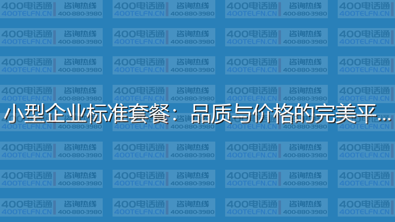 小型企业标准套餐：品质与价格的完美平衡-400电话选购平台