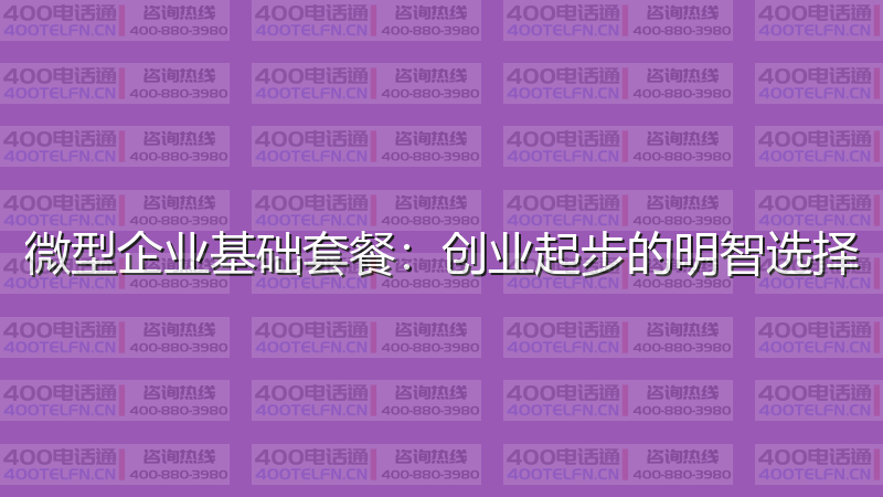 微型企业基础套餐：创业起步的明智选择-400电话选购平台