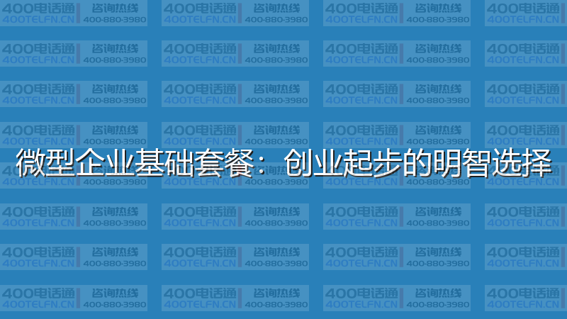 微型企业基础套餐：创业起步的明智选择-400电话选购平台
