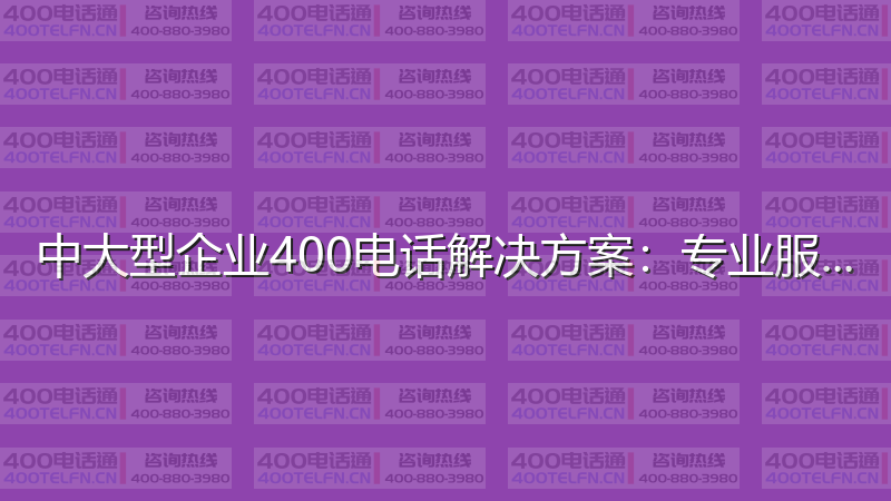 中大型企业400电话解决方案：专业服务的最佳配置-400电话选购平台