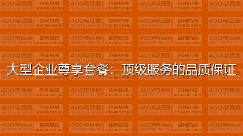 大型企业尊享套餐：顶级服务的品质保证-400电话选购平台
