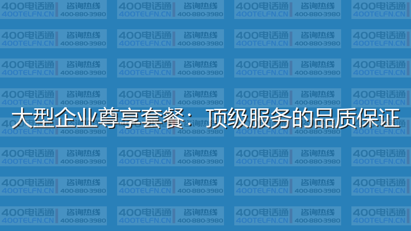 大型企业尊享套餐：顶级服务的品质保证-400电话选购平台