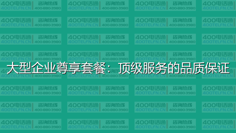 大型企业尊享套餐：顶级服务的品质保证-400电话选购平台