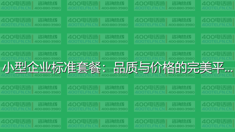 小型企业标准套餐：品质与价格的完美平衡-400电话选购平台