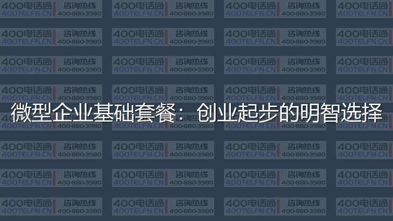 微型企业基础套餐：创业起步的明智选择-400电话选购平台