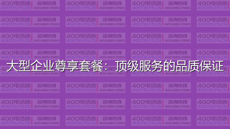 大型企业尊享套餐：顶级服务的品质保证-400电话选购平台