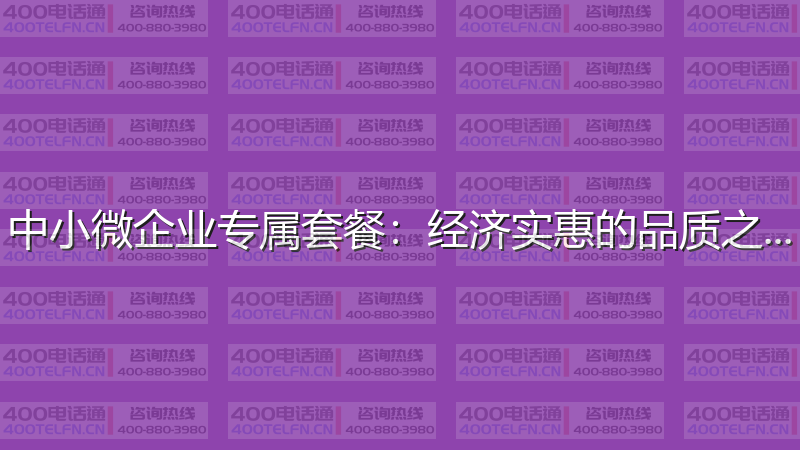 中小微企业专属套餐：经济实惠的品质之选-400电话选购平台