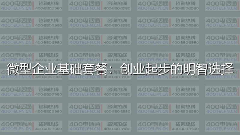 微型企业基础套餐：创业起步的明智选择-400电话选购平台