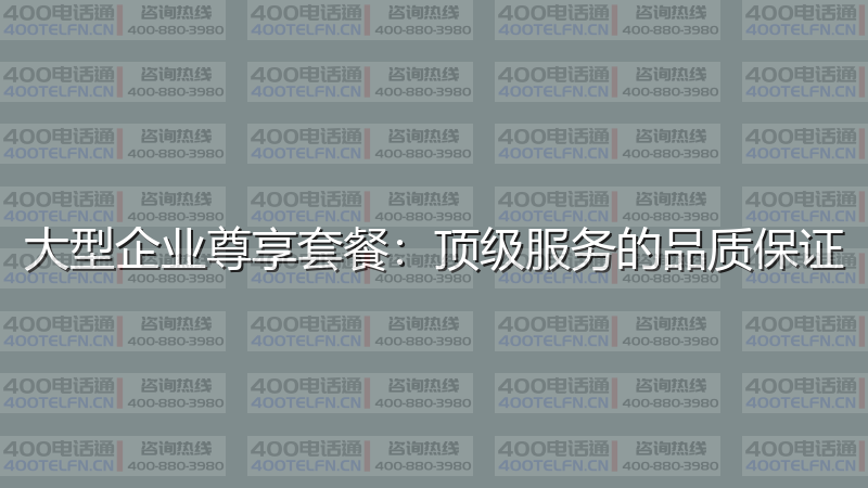 大型企业尊享套餐：顶级服务的品质保证-400电话选购平台