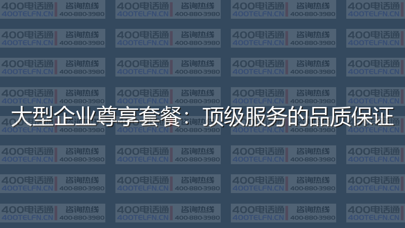 大型企业尊享套餐：顶级服务的品质保证-400电话选购平台