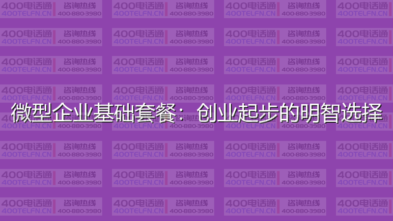微型企业基础套餐：创业起步的明智选择-400电话选购平台