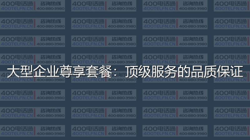 大型企业尊享套餐：顶级服务的品质保证-400电话选购平台