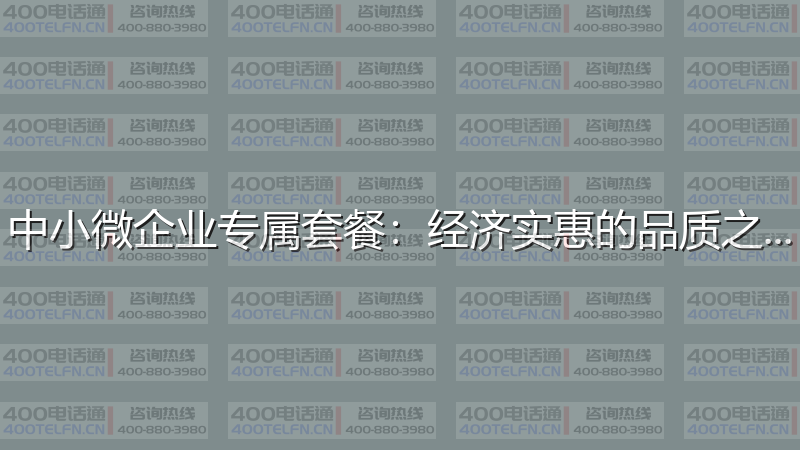 中小微企业专属套餐：经济实惠的品质之选-400电话选购平台