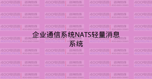 企业通信系统NATS轻量消息系统-400电话选购平台
