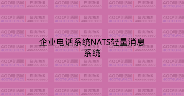 企业电话系统NATS轻量消息系统-400电话选购平台